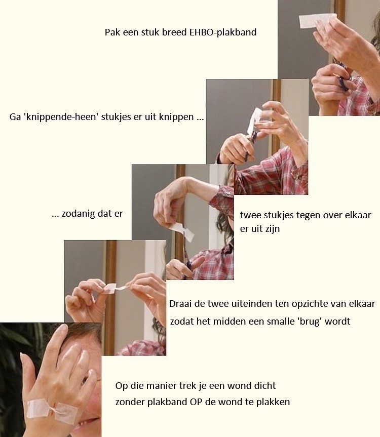 zwaluwstaart